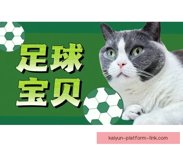 精准足球赛事预测与竞猜投注策略全解析指南